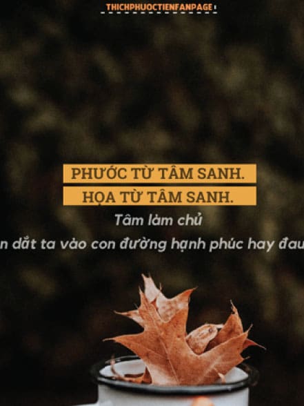 Hình bài viết